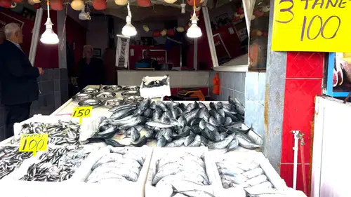 Karadeniz'de 19 yıllık palamut rekoru: Tezgahta üçü birden 100 liraya düştü