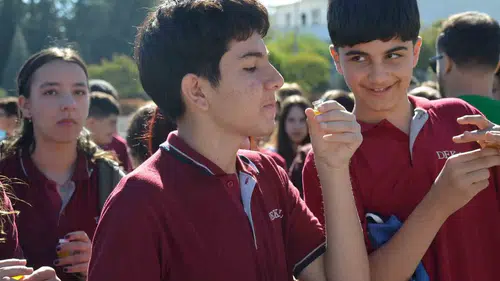 Didim'de zeytinyağı tadımıyla dünya rekoru heyecanı yaşanıyor