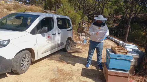 Bozdoğan'da arıcılar için kovan denetimi: Destek ödemeleri öncesi kayıtlar güncelleniyor