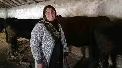 Hınıs'ta Kırsalda Bereket Projesi ile Aile İşletmelerinde İlk Buzağı Sevinci