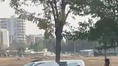 Siverek yolunda şiddetli kaza: Refüjdeki ağaca çarpan otomobil ikiye ayrıldı