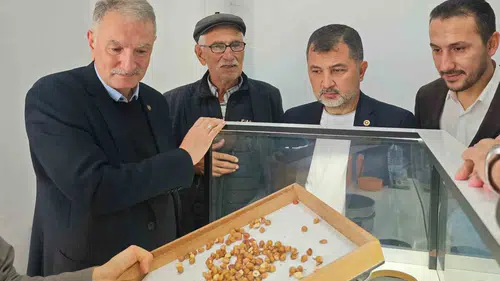 Düzce'de fındık hasadında kritik denetim: Üreticinin beklentileri masaya yatırıldı