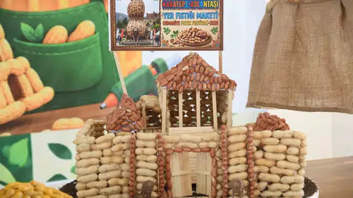 Osmaniyeli öğrenciler yer fıstığını sanatın renkleriyle yeniden yorumladı