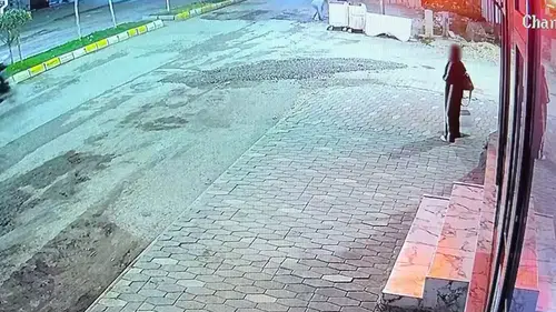 Adıyaman'da sokak kedisine yönelik şiddet anları güvenlik kamerasına yansıdı