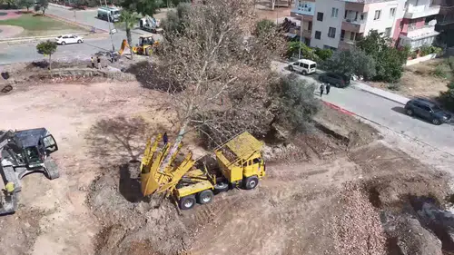 Didim'de Kaykay Parkı inşaatında ağaç hassasiyeti: Yerleri değiştirildi