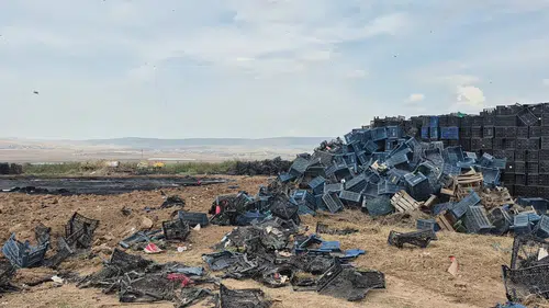 Eskişehir Tepebaşı'nda Binlerce Plastik Kasa Alevlere Teslim Oldu