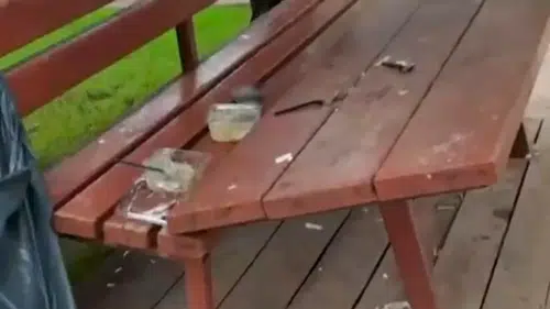 Parkı Tahrip Ettiler, Çöplerini de Bırakıp Gittiler