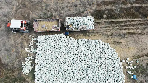 Eskişehir’de Türkiye’nin İlk Bal Kabağı Çalıştayı Yapılacak
