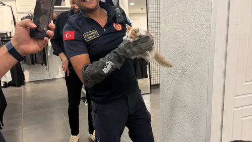 Eskişehir İtfaiyesi Mahsur Kalan Kedi ve Köpeği Kurtardı