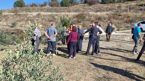 Sarıcakaya’da Zeytin Üreticilerine Budama Eğitimi