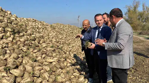 Alpu Kaymakamı Sönmezel Alpu’da Pancar Hasadına Katıldı