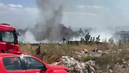 Efeler'de zeytinlikte alevler evleri tehdit etti: Ekipler seferber oldu