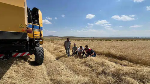 Kars'ta biçerdöverler tek tek mercek altında: Hasat kaybına sıfır tolerans
