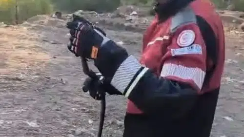 Hatay'da ekipler yılanları zarar vermeden yakaladı: Doğal yaşam alanlarına geri bırakıldı