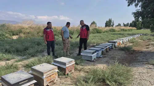 Antakya'da Bal Hasadı Sürüyor: Müdür Türkmen Üreticiyi Yalnız Bırakmadı