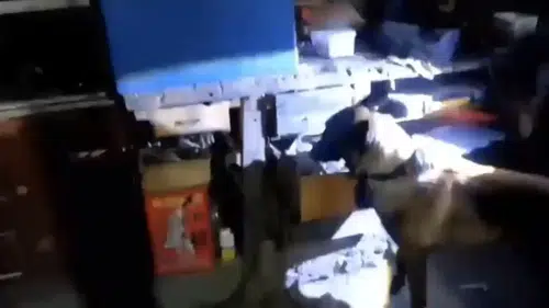 Tokat'ta yasa dışı silah ticaretine jandarma darbesi: 11 şüpheli yakalandı