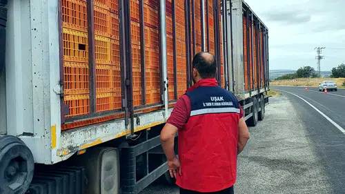 Uşak yollarında hayvan sağlığı için sıkı denetim mesaisi