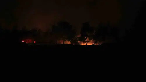 Adana Karaisalı'da orman yangınına havadan ve karadan yoğun müdahale