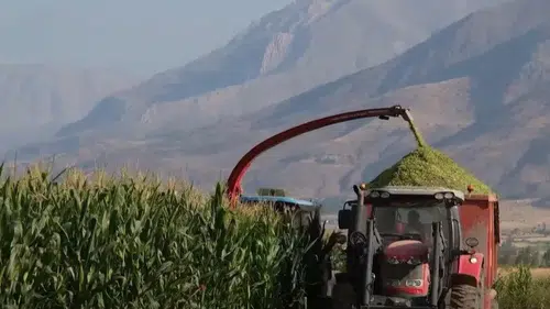 Erzincan Belediyesi tarımsal üretimde kendi hasadını topluyor