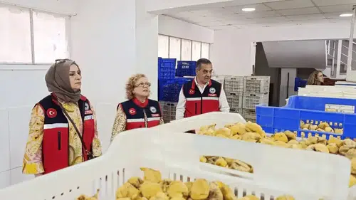 Aydın incirinde kaliteyi koruma mesaisi: Nazilli tesislerinde sıkı denetim