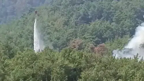 Kozan'da kontrol altına alınan ormanlık alanda alevler yeniden yükseldi
