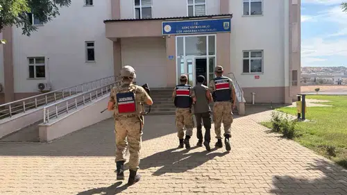 Bingöl jandarmasından geniş çaplı operasyon: 22 olayda çok sayıda suç unsuru ele geçirildi