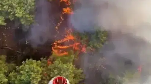 Antalya Aksu'da ormanlık alanda alevlerle yoğun mücadele