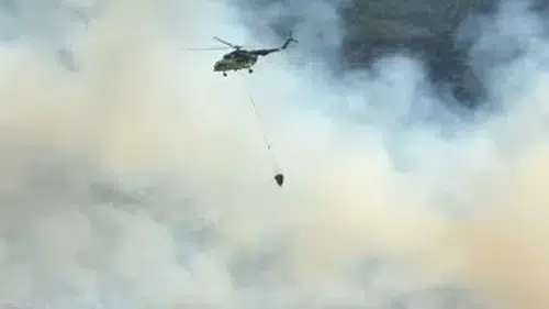 Çine'de orman yangını alarmı: Ekipler alevleri durdurmak için seferber oldu