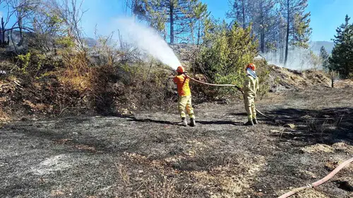 Kutluhallar köyünde orman faciası ekiplerin zamanında müdahalesiyle önlendi
