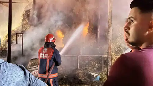 Adapazarı'nda samanlık yangını: Binlerce balya kül oldu, 4 kişi hastanelik