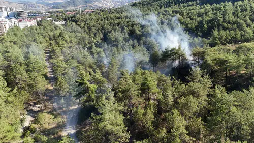Karabük'te Kent Ormanı'nda korkutan yangın: Ekipler büyümeden durdurdu