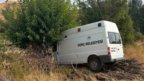 Genç Belediyesi'ne ait minibüs ağaca çarptı: 3 yaralı