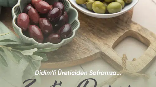 Didim'de Zeytin Üreticisine Yeni Pazar Alanı: Aracısız Satış Dönemi Başlıyor