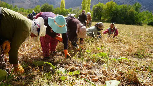 Erzincan tarımında 170 milyon liralık dev hibe hamlesi
