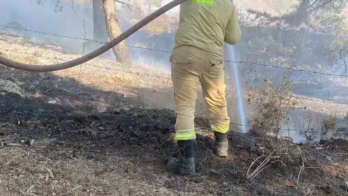 Onikişubat’ta orman yangınına karşı havadan ve karadan hızlı müdahale