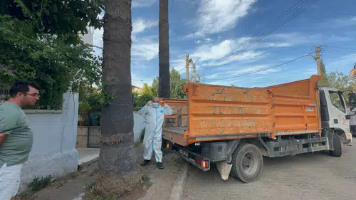 Marmaris'te bir daireden çıkanlar şoke etti: Bir kamyon çöp ve 30 kedi tahliye edildi