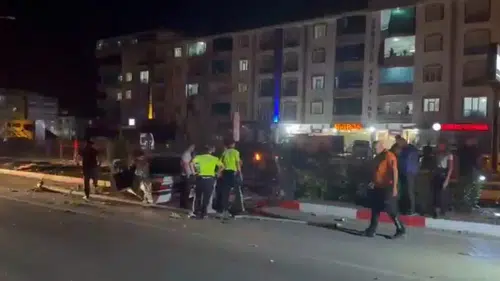 Kovancılar'da yola çıkan köpek kazaya neden oldu: 2 yaralı
