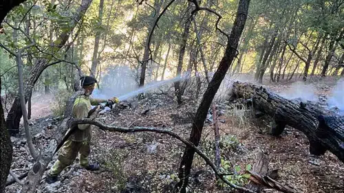Dalaman'da yıldırım kaynaklı orman yangını zorlu araziye rağmen söndürüldü