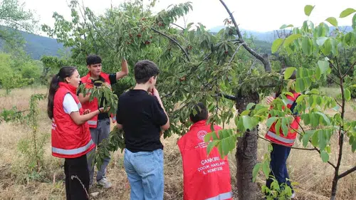 Türkiye'nin COP31 Ev Sahipliğinde Çocukların İklim Vizyonu Öne Çıkıyor