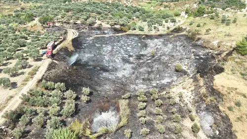 Antakya'da deprem konutları yakınındaki zeytinlikte korkutan yangın