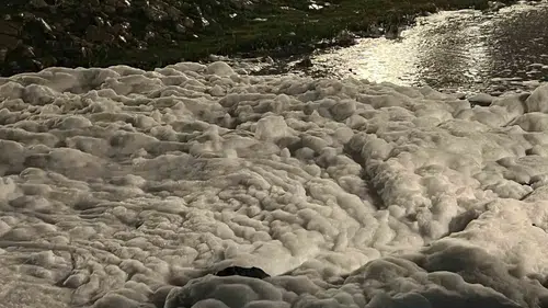 İzmit Sekapark sahilinde şüpheli köpüklenme: Ekipler numune aldı