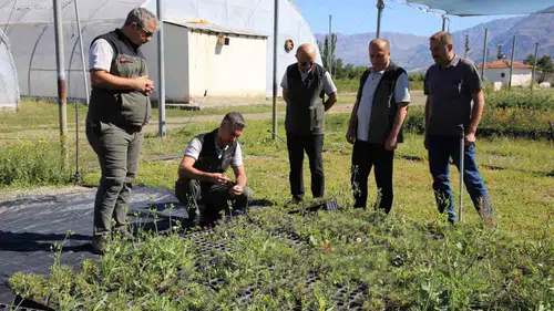 Erzincan'da ormanların geleceği için 2026 fidan üretim planı masaya yatırıldı