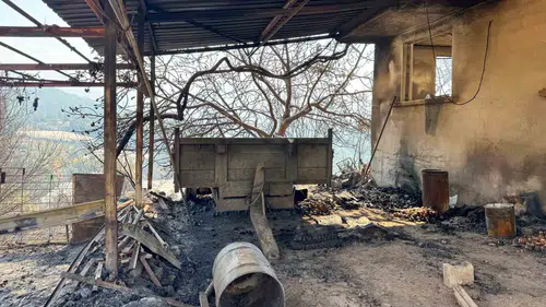 Kumluca'da orman yangını sonrası bilanço ağır: Binlerce dönüm alan ve seralar küle döndü