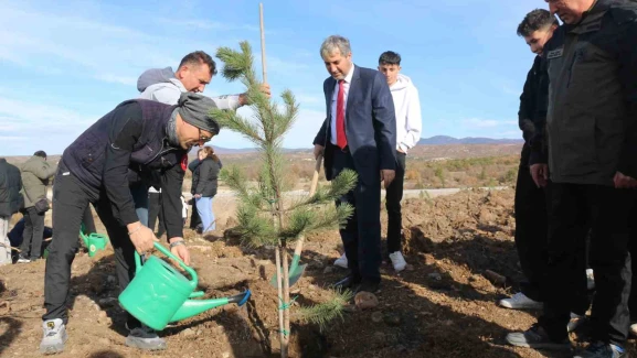 Varsayılan resim bulunamadı.