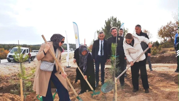 Varsayılan resim bulunamadı.