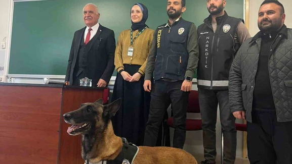 Varsayılan resim bulunamadı.