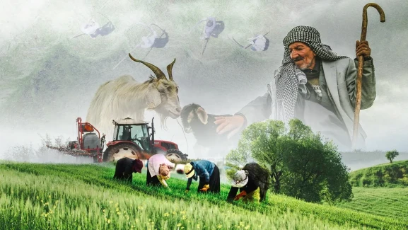 Varsayılan resim bulunamadı.