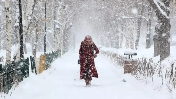 Varsayılan resim bulunamadı.
