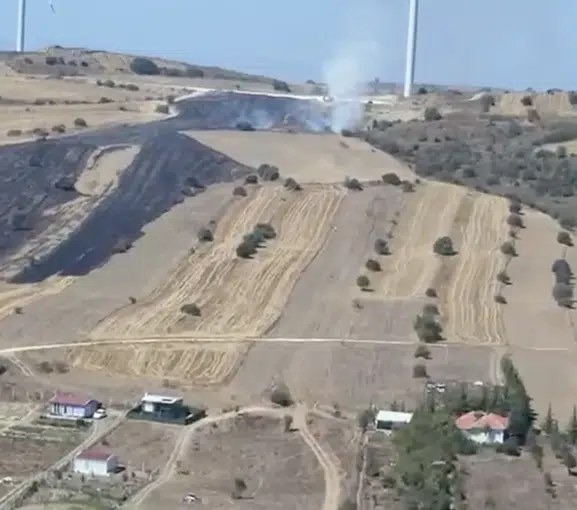 Eskişehir'de Anız Yangını Ekipleri Harekete Geçirdi