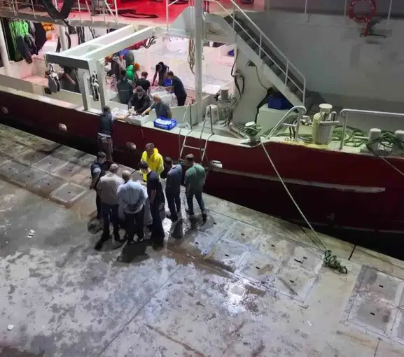 Denizlerde av yasağı sona erdi: Balıkçılar yeni sezon için ağlarını suya bıraktı